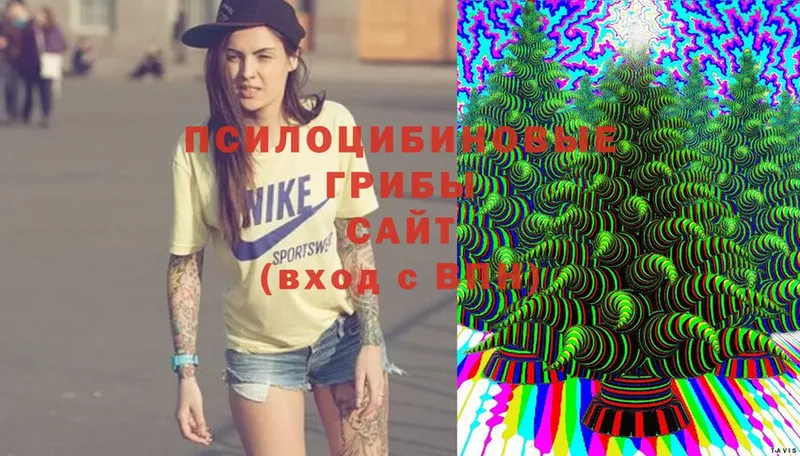 Псилоцибиновые грибы Magic Shrooms  Курган 